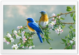 Flowers, Birds, Painting Ultra HD Wallpaper for 4K UHD Widescreen desktop, tablet & smartphone