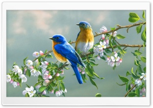 Flowers, Birds, Painting Ultra HD Wallpaper for 4K UHD Widescreen Desktop, Lockscreen, Screensaver, TV, Tablet, Smartphone