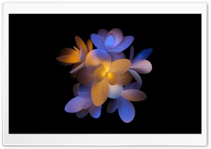Flowers Dark Aesthetic Ultra HD Wallpaper for 4K UHD Widescreen desktop, tablet & smartphone