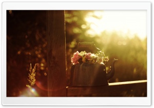 Flowers In A Teapot Ultra HD Wallpaper for 4K UHD Widescreen desktop, tablet & smartphone