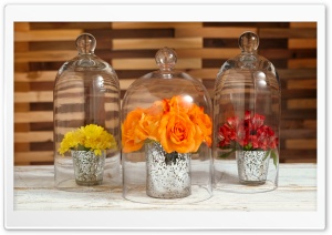 Flowers Under Glass Cloches Ultra HD Wallpaper for 4K UHD Widescreen desktop, tablet & smartphone