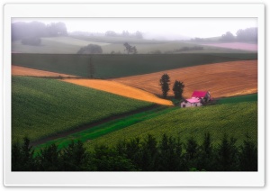 Fog at the Pink House Ultra HD Wallpaper for 4K UHD Widescreen desktop, tablet & smartphone