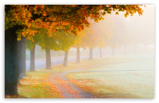 Foggy Autumn Morning UltraHD Wallpaper for UHD 16:9 ; HD 16:9 ; UltraWide 21:9 24:10 32:9 32:10 ; Widescreen 16:10 5:3 ; Fullscreen 4:3 5:4 3:2 ; Tablet 1:1 ; Mobile 9:16 9:19.5 9:20 9:21 9:22 10:16 2:3 3:5 3:4 ; Dual 16:10 5:3 16:9 4:3 5:4 3:2 ; Triple 16:10 5:3 16:9 4:3 5:4 3:2 ;