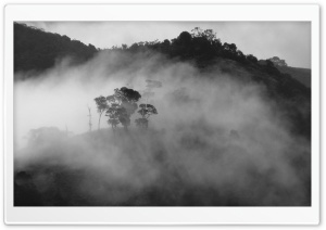Foggy Black And White Landscapes Ultra HD Wallpaper for 4K UHD Widescreen desktop, tablet & smartphone