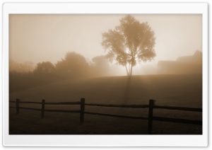 Foggy Morning Ultra HD Wallpaper for 4K UHD Widescreen desktop, tablet & smartphone
