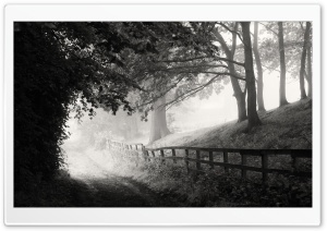 Foggy Morning, Road, Black and White Ultra HD Wallpaper for 4K UHD Widescreen desktop, tablet & smartphone