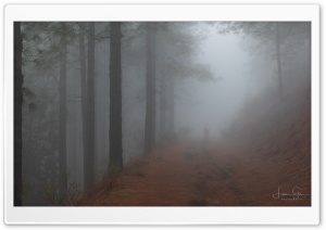 Foggy Mountain Hike Ultra HD Wallpaper for 4K UHD Widescreen Desktop, Lockscreen, Screensaver, TV, Tablet, Smartphone