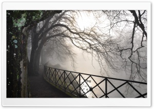 Foggy River Ultra HD Wallpaper for 4K UHD Widescreen desktop, tablet & smartphone