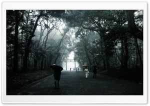 Foggy Walk Ultra HD Wallpaper for 4K UHD Widescreen desktop, tablet & smartphone