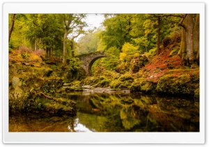 Foley's Bridge, Autumn Ultra HD Wallpaper for 4K UHD Widescreen desktop, tablet & smartphone
