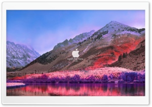 FoMef - macOS High Sierra Purble Ultra HD Wallpaper for 4K UHD Widescreen desktop, tablet & smartphone