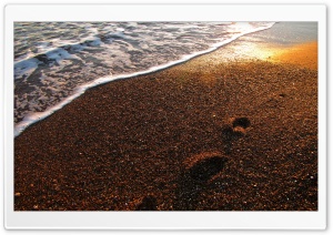 Foot Prints On The Sand Ultra HD Wallpaper for 4K UHD Widescreen desktop, tablet & smartphone