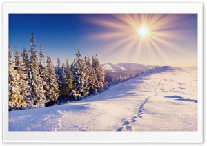 Footprints In The Snow Ultra HD Wallpaper for 4K UHD Widescreen desktop, tablet & smartphone