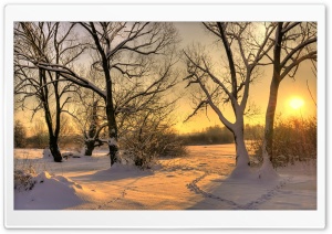 Footsteps In Snow Ultra HD Wallpaper for 4K UHD Widescreen desktop, tablet & smartphone