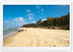 Footsteps On The Beach Ultra HD Wallpaper for 4K UHD Widescreen desktop, tablet & smartphone
