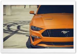 Ford Mustang 4K Ultra HD Wallpaper for 4K UHD Widescreen desktop, tablet & smartphone