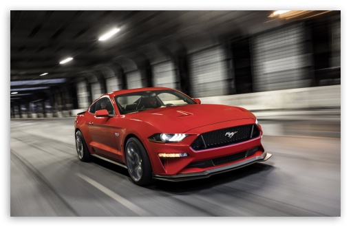 Ford Mustang GT Driving Experience UltraHD Wallpaper for UHD 16:9 ; HD 16:9 ; UltraWide 21:9 24:10 32:9 32:10 ; Widescreen 16:10 ; Tablet 1:1 ; Dual 16:10 16:9 ;