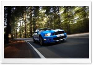 Ford Shelby GT500 Ultra HD Wallpaper for 4K UHD Widescreen desktop, tablet & smartphone
