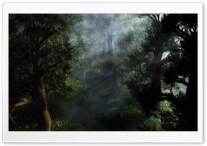Forest 3D Ultra HD Wallpaper for 4K UHD Widescreen desktop, tablet & smartphone