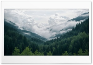 Forest And Clouds 4K UHD Wallpaper for Widescreen and UltraWide Desktop, UltraHD TV, Smartphone, Tablet