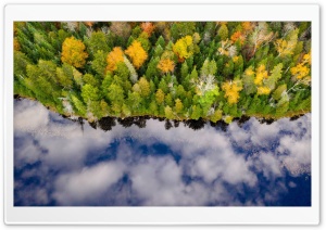 Forest, Autumn Ultra HD Wallpaper for 4K UHD Widescreen desktop, tablet & smartphone