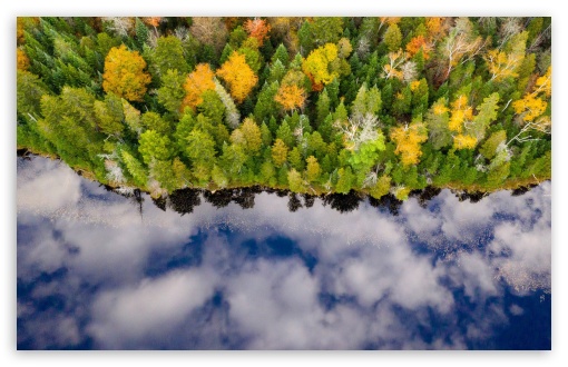 Forest, Autumn UltraHD Wallpaper for Wide 16:10 5:3 Widescreen WHXGA WQXGA WUXGA WXGA WGA ; UltraWide 21:9 ; 8K UHD TV 16:9 Ultra High Definition 2160p 1440p 1080p 900p 720p ; Standard 4:3 5:4 3:2 Fullscreen UXGA XGA SVGA QSXGA SXGA DVGA HVGA HQVGA ( Apple PowerBook G4 iPhone 4 3G 3GS iPod Touch ) ; Smartphone 16:9 3:2 5:3 2160p 1440p 1080p 900p 720p DVGA HVGA HQVGA ( Apple PowerBook G4 iPhone 4 3G 3GS iPod Touch ) WGA ; Tablet 1:1 ; iPad 1/2/Mini ; Mobile 4:3 5:3 3:2 16:9 5:4 - UXGA XGA SVGA WGA DVGA HVGA HQVGA ( Apple PowerBook G4 iPhone 4 3G 3GS iPod Touch ) 2160p 1440p 1080p 900p 720p QSXGA SXGA ;