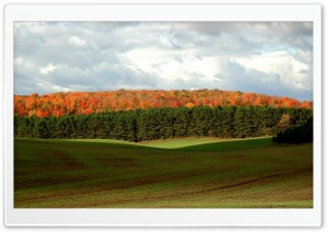 Forest Autumn 6 Ultra HD Wallpaper for 4K UHD Widescreen desktop, tablet & smartphone