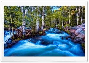 Forest Birch Stream, Long Exposure Ultra HD Wallpaper for 4K UHD Widescreen desktop, tablet & smartphone