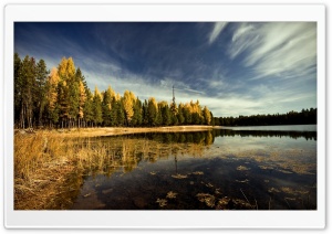 Forest By The Lake Ultra HD Wallpaper for 4K UHD Widescreen desktop, tablet & smartphone