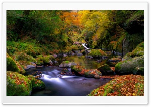 Forest Creek, Autumn Ultra HD Wallpaper for 4K UHD Widescreen desktop, tablet & smartphone