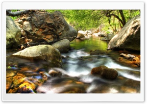 Forest Creek HDR Ultra HD Wallpaper for 4K UHD Widescreen desktop, tablet & smartphone