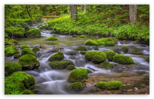 Forest Creek, Mossy Rocks, Spring UltraHD Wallpaper for UHD 16:9 ; HD 16:9 ; UltraWide 21:9 24:10 32:10 ; Widescreen 16:10 5:3 ; Fullscreen 4:3 5:4 3:2 ; Tablet 1:1 ; Mobile 9:16 9:19.5 9:20 9:21 9:22 10:16 2:3 3:5 3:4 ; Dual 16:10 5:3 4:3 5:4 3:2 ;