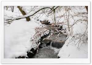 Forest Creek, Winter Ultra HD Wallpaper for 4K UHD Widescreen desktop, tablet & smartphone