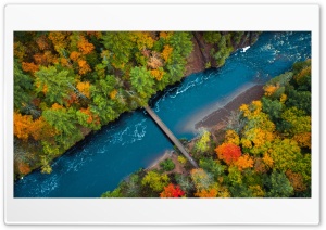 Forest Divided by the River 4K UHD Wallpaper for Widescreen and UltraWide Desktop, UltraHD TV, Smartphone, Tablet
