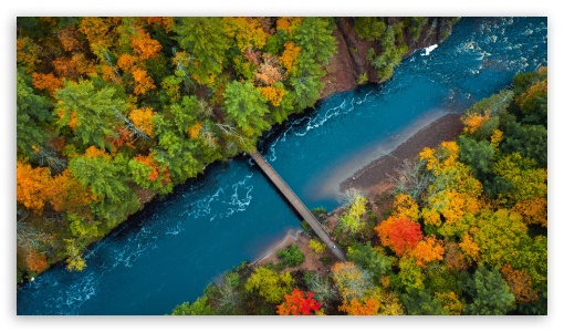Forest Divided by the River UltraHD Wallpaper for UHD 16:9 ; HD 16:9 ;