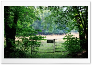 Forest Gates, Summer, Nature Photography Ultra HD Wallpaper for 4K UHD Widescreen desktop, tablet & smartphone