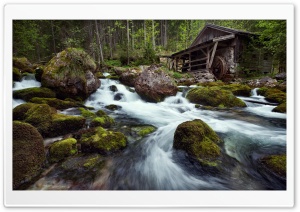 Forest House Ultra HD Wallpaper for 4K UHD Widescreen desktop, tablet & smartphone