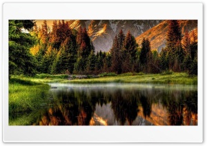 Forest lake Ultra HD Wallpaper for 4K UHD Widescreen desktop, tablet & smartphone