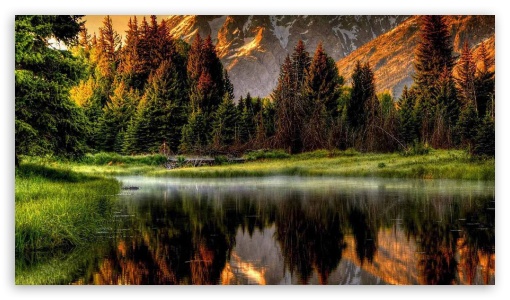 Forest lake Ultra HD Desktop Background Wallpaper for 4K UHD TV
