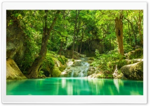 Forest Lake Ultra HD Wallpaper for 4K UHD Widescreen desktop, tablet & smartphone