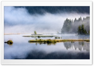 Forest Lake, Nature, Mist Ultra HD Wallpaper for 4K UHD Widescreen desktop, tablet & smartphone