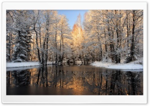 Forest Lake, Winter Ultra HD Wallpaper for 4K UHD Widescreen desktop, tablet & smartphone