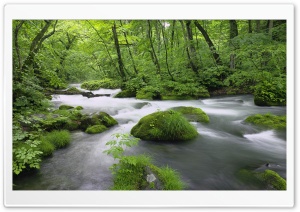 Forest River, Japan Ultra HD Wallpaper for 4K UHD Widescreen desktop, tablet & smartphone