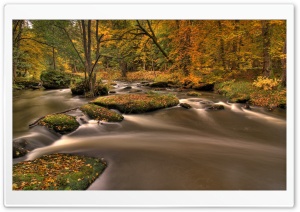 Forest River, Long Exposure Ultra HD Wallpaper for 4K UHD Widescreen desktop, tablet & smartphone