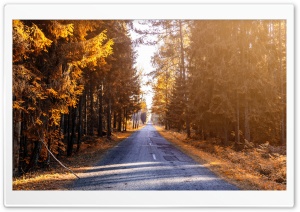 Forest Road, Autumn Landscape Ultra HD Wallpaper for 4K UHD Widescreen desktop, tablet & smartphone