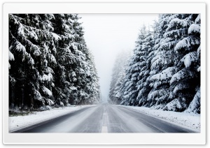 Forest Road in Winter Ultra HD Wallpaper for 4K UHD Widescreen desktop, tablet & smartphone