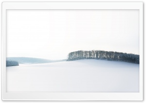 Forest Skyline Winter Ultra HD Wallpaper for 4K UHD Widescreen desktop, tablet & smartphone