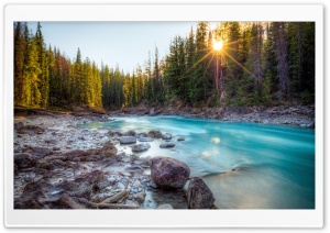 Forest Stream Ultra HD Wallpaper for 4K UHD Widescreen desktop, tablet & smartphone