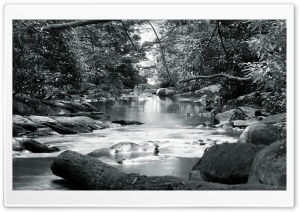 Forest Stream Black And White Ultra HD Wallpaper for 4K UHD Widescreen desktop, tablet & smartphone