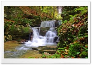 Forest Stream Waterfall 4K UHD Wallpaper for Widescreen and UltraWide Desktop, UltraHD TV, Smartphone, Tablet
